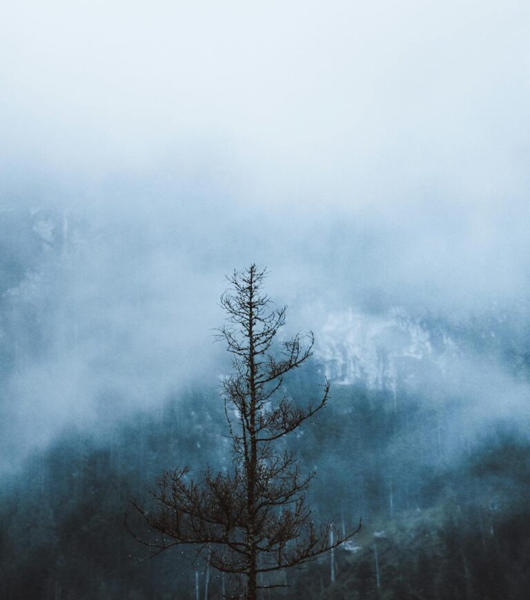 pexels-miroslav-skopek-3678933-5556382